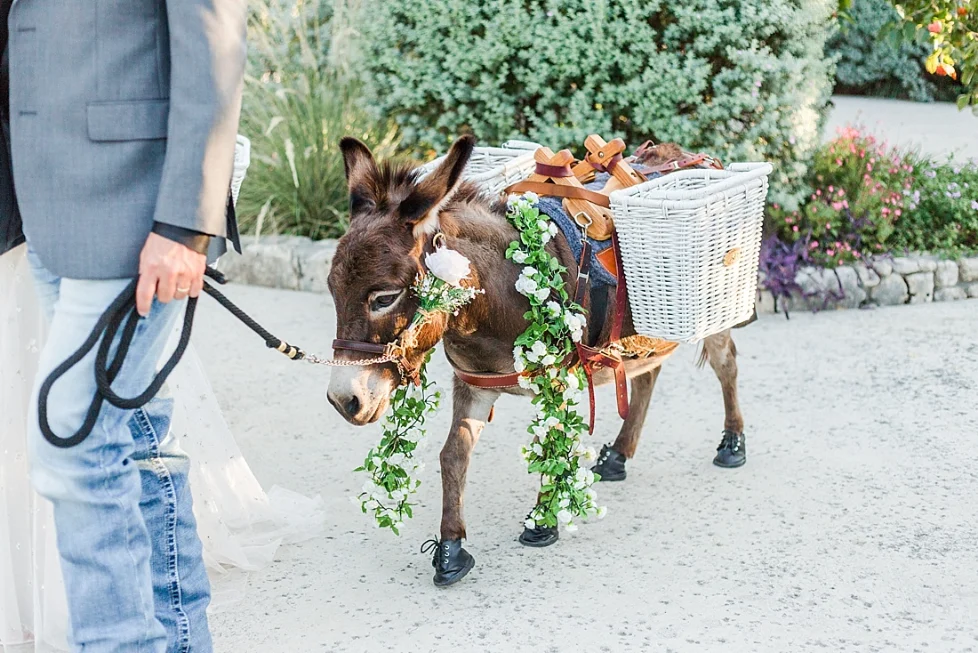 23 Wedding Photos at Paniolo Ranch in the Texas Hill Country