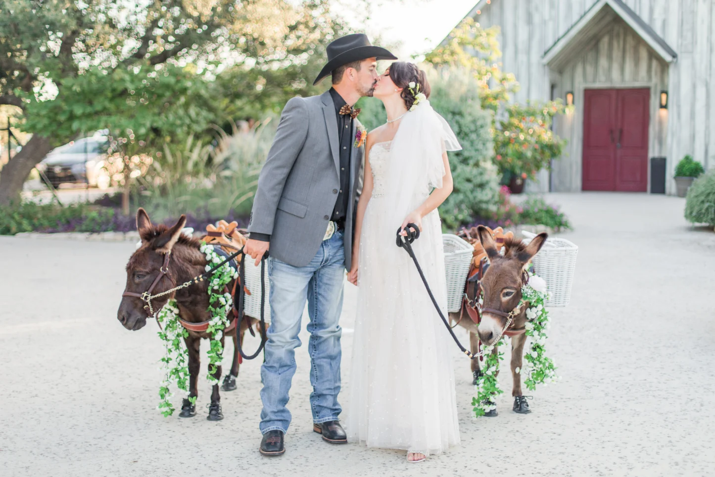 Cute Donkeys at a Paniolo Ranch Wedding