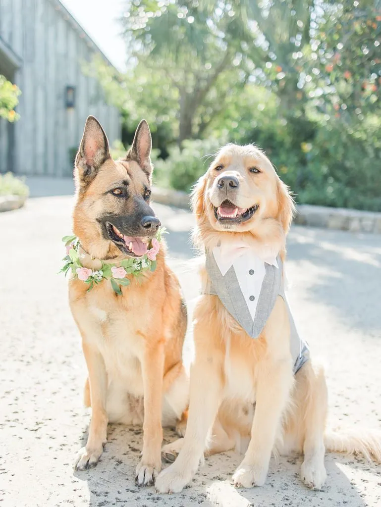 21 paniolo ranch pink pastel wedding in the hill country texas